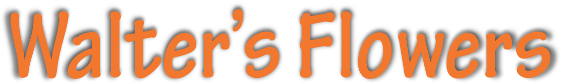 Walter's Flowers - Bikkel Ridder's Friend Is Sick With Cancer (1541x470), Png Download