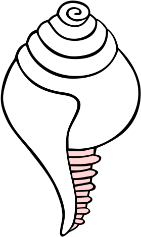 Śaṅkha - Outline Image Of Conch (300x497), Png Download