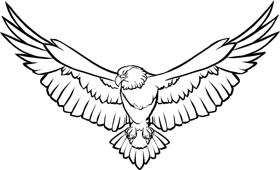 Free Picture - Soaring Eagle Line Art (960x583), Png Download