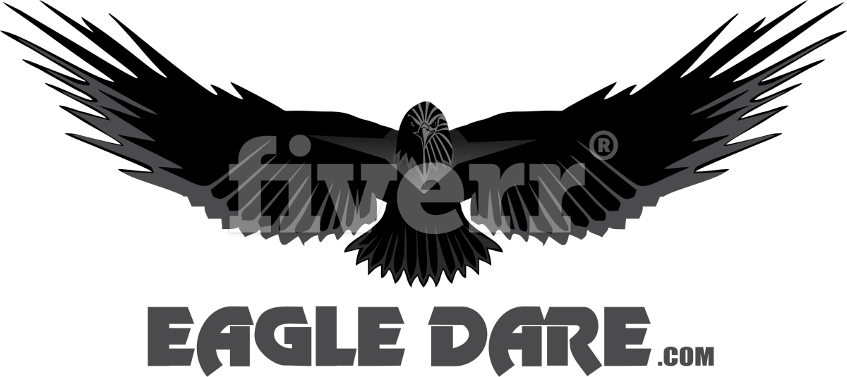 Bald Eagle (1200x535), Png Download