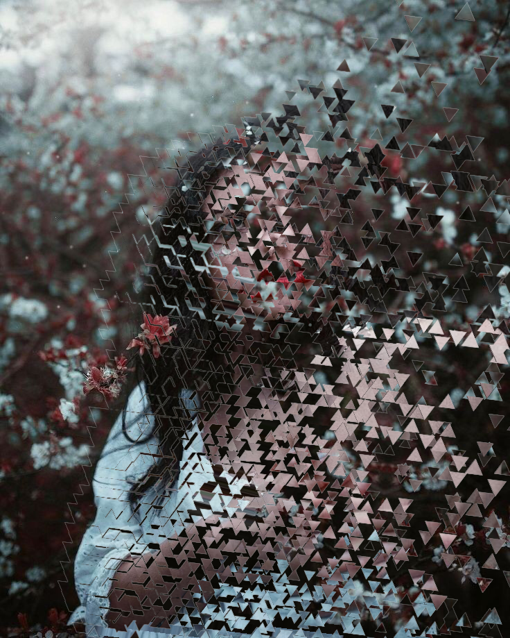 Sign In To Save It To Your Collection - Photography (736x919), Png Download