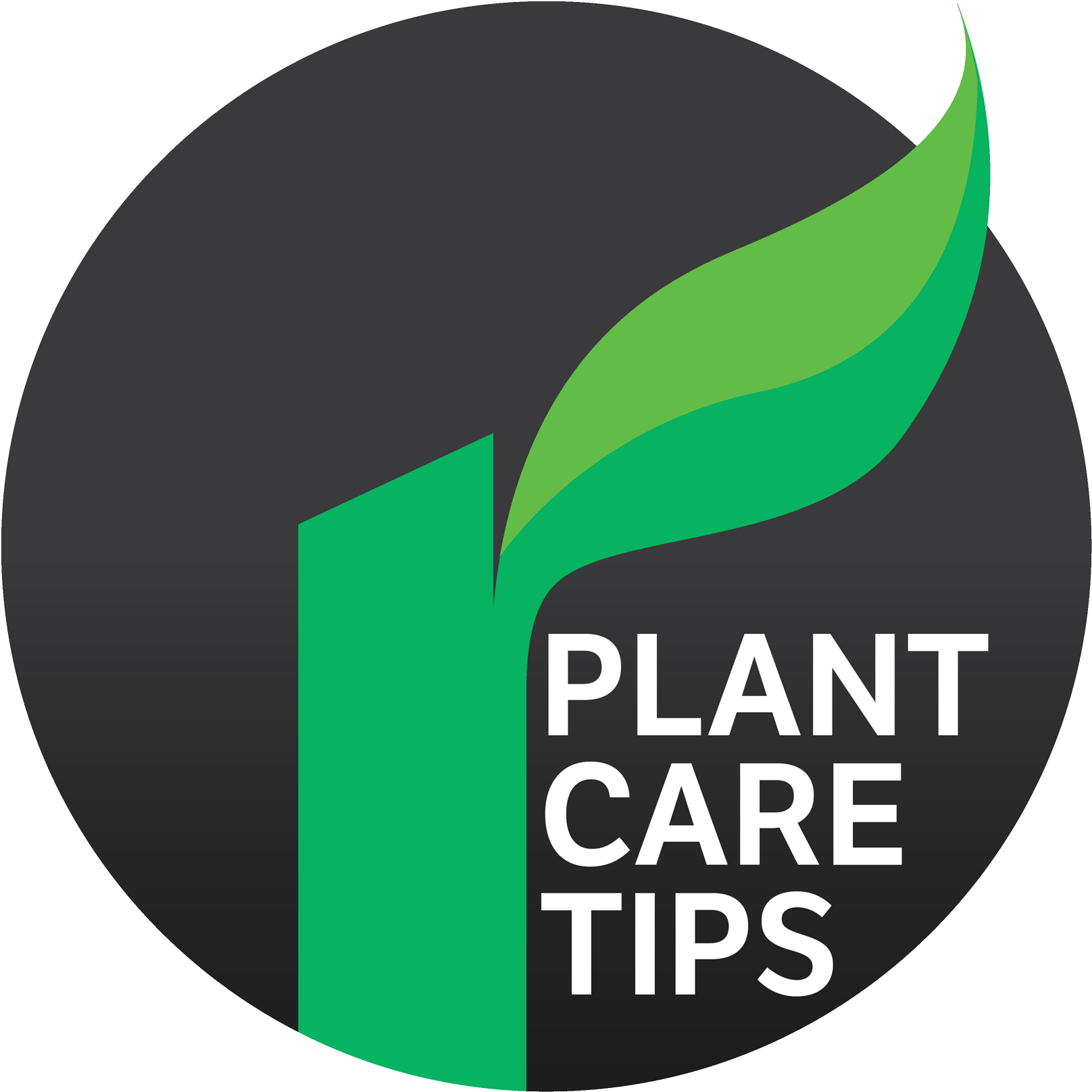 Plantcare Tip Icon - Gloucester Road Tube Station (1667x1667), Png Download