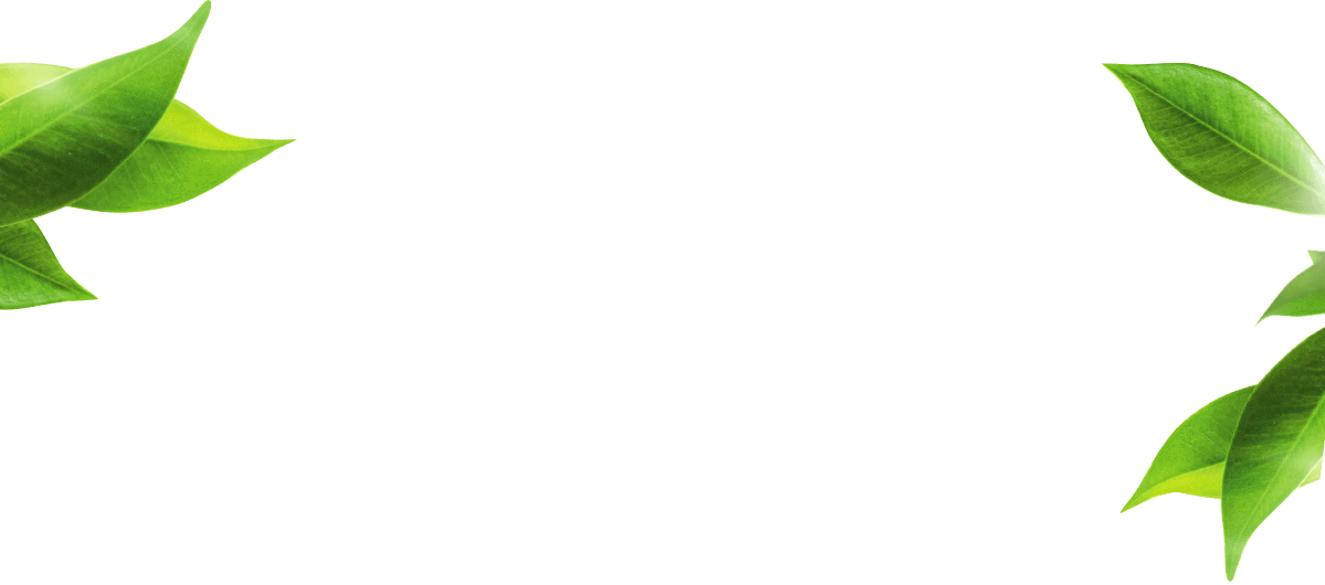 Dmk Enzyme Logo Leafs - Logo (1199x530), Png Download