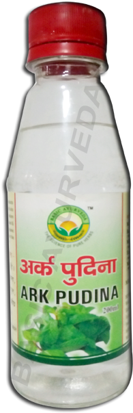 Ark Pudina - Plastic Bottle (600x700), Png Download