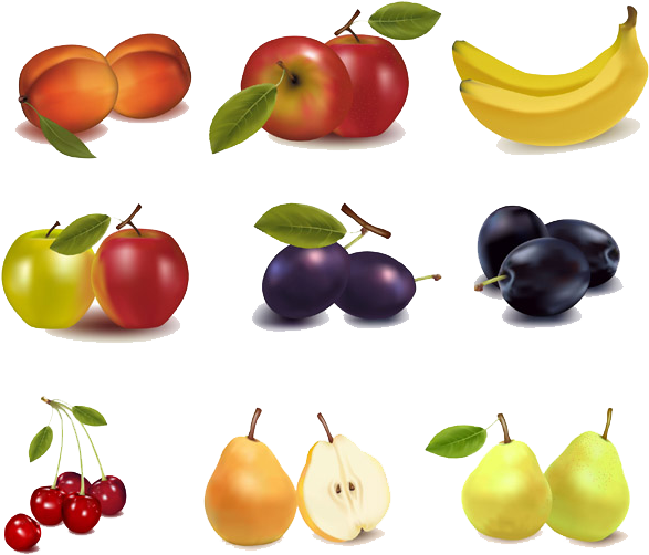 Visit - Fruit Vector (600x543), Png Download