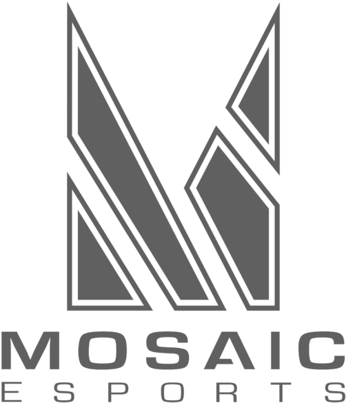 Mosaic Esports - Young And Beautiful Overwatch Team (600x777), Png Download