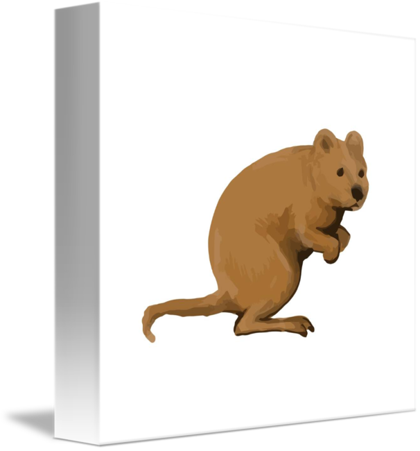 Side Watercolor By Aloysius - Cafepress Quokka Side Watercolor Iphone 6/6s Tough (606x650), Png Download