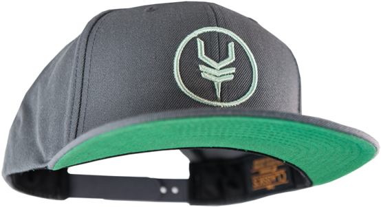 Looking For A Hat With This Logo On It - Disc Golf Hat (600x600), Png Download