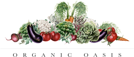 Watercolor Illustration For Organic Oasis On Behance - Vegetable (600x287), Png Download