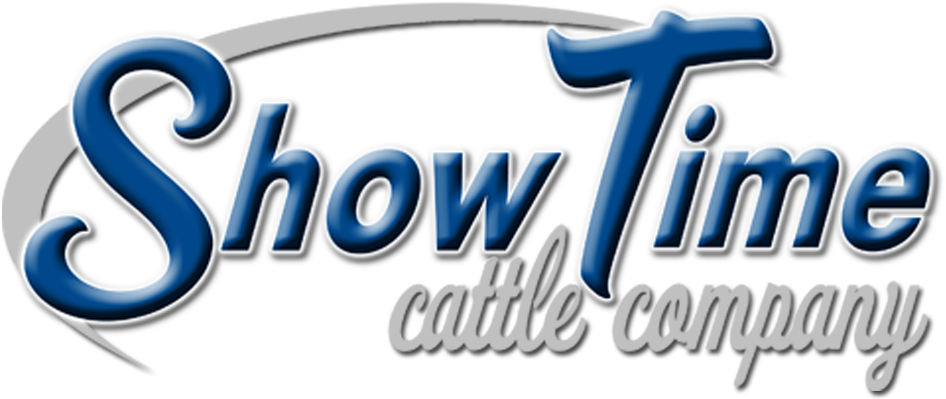 Show Time Cattle Company - Electric Blue (1000x469), Png Download