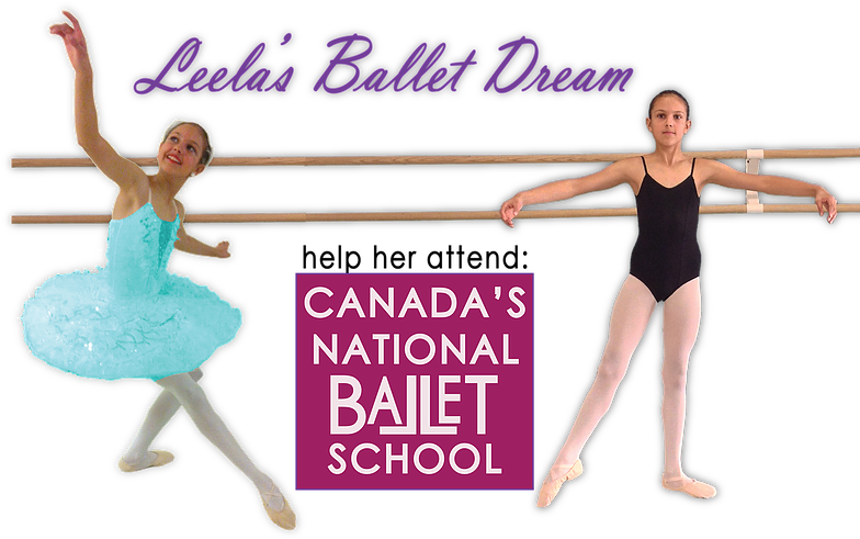 Leela Gofundme Header No Logo - Chapter (784x511), Png Download