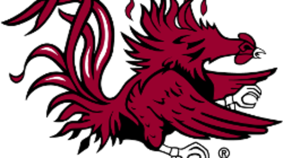 Gamecocks Announce 2019 Football Schedule - South Carolina Gamecocks (986x552), Png Download