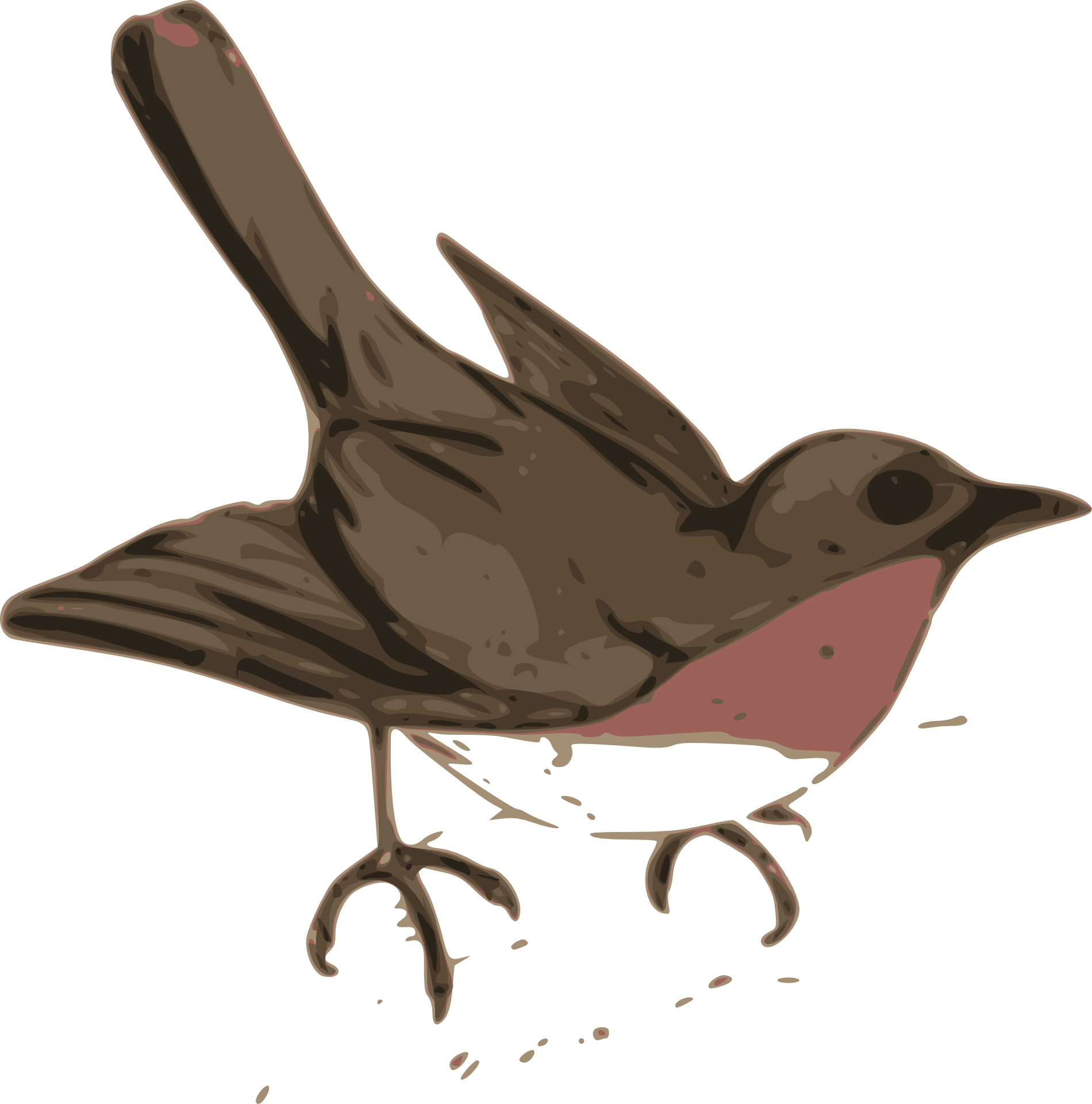 Wren Clipart Robin Bird - Maya Bird Clip Art (1900x1920), Png Download