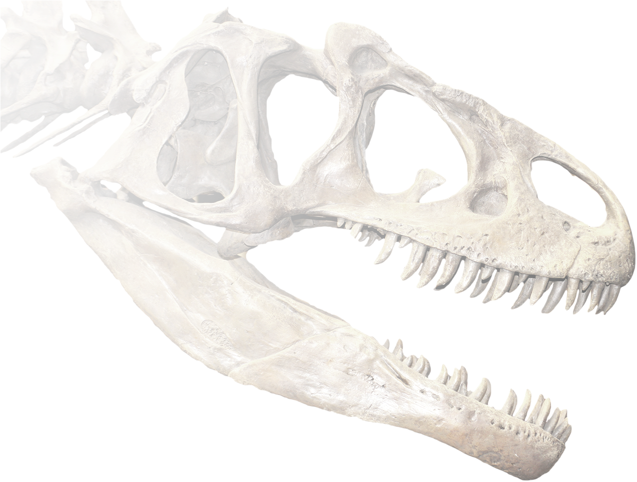 Ken Ham (1920x1080), Png Download