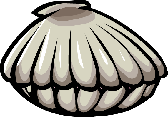 Clam - Closed Clam Png (571x398), Png Download