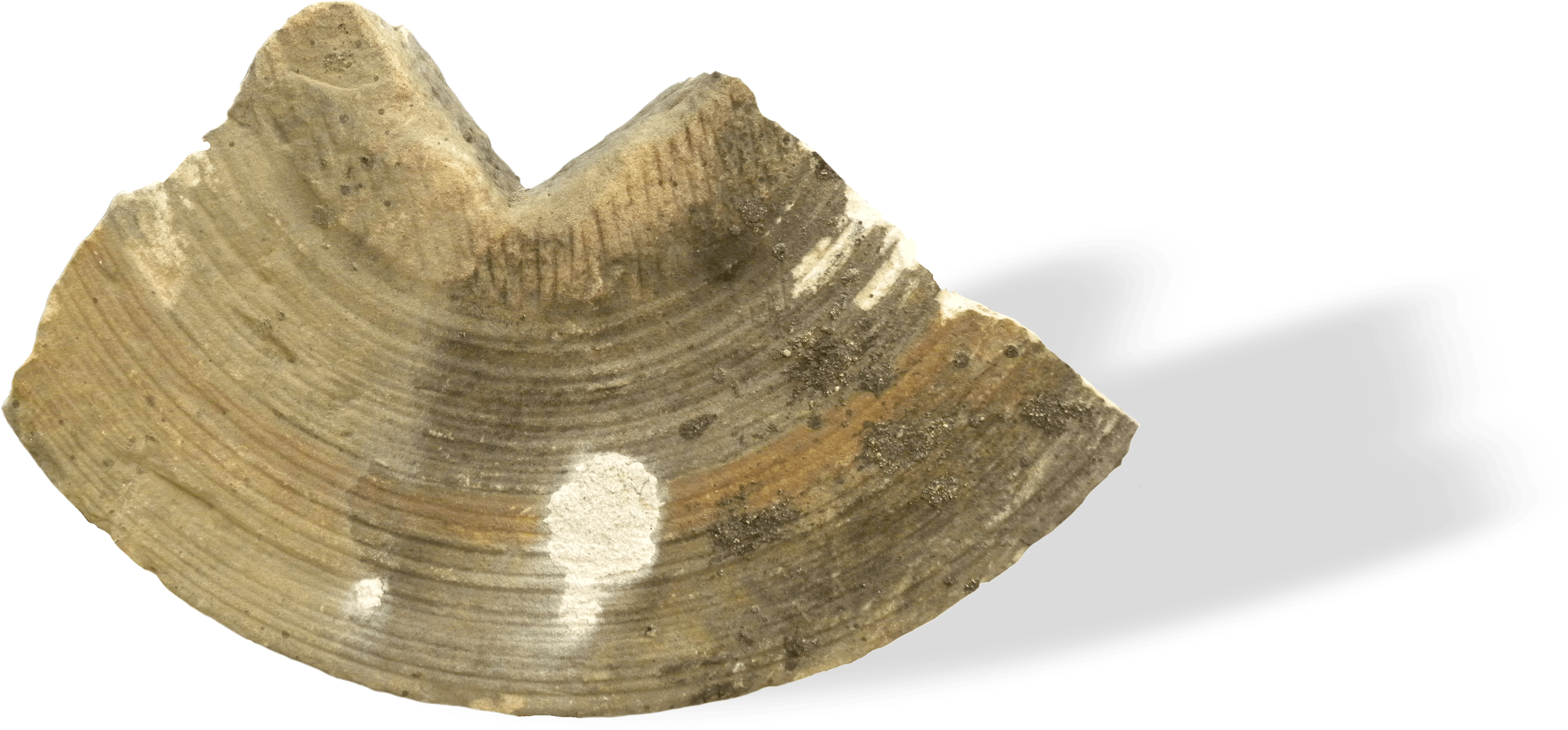 Grindestone Fragment From Building 104, Springfield (4956x2514), Png Download