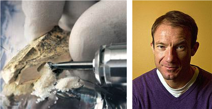 Fossil Finger Bone Yields Genome Of A Previously Unknown - Bone Dna (850x550), Png Download