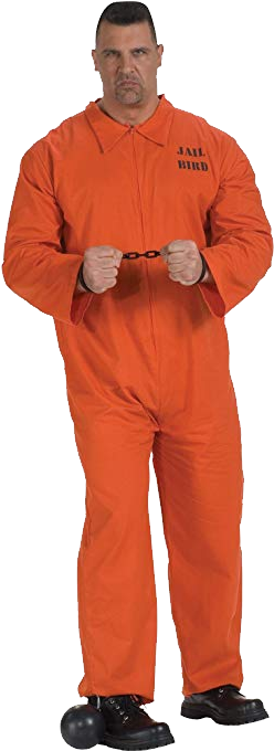 Jail Bird Costume For Adults (571x1200), Png Download