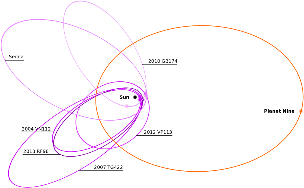 "the Probable Orbit Of Planet Nine" - Wikimedia Commons (1024x642), Png Download