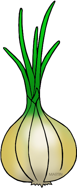 Utah State Vegetable - Clip Art (250x611), Png Download