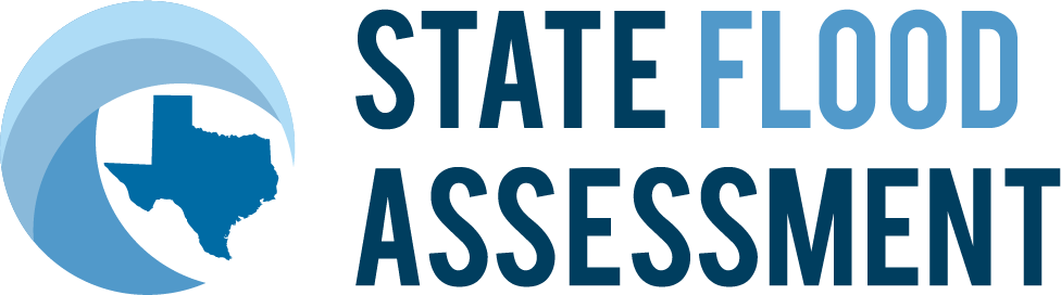 Texas State Flood Assessment - Options As A Strategic Investment (976x272), Png Download