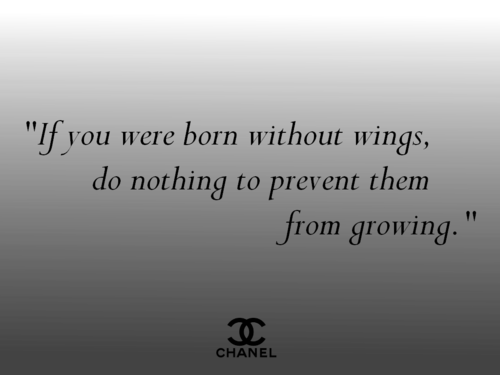 Brainy Quotes Life - Brainy Quote Of The Day (500x375), Png Download