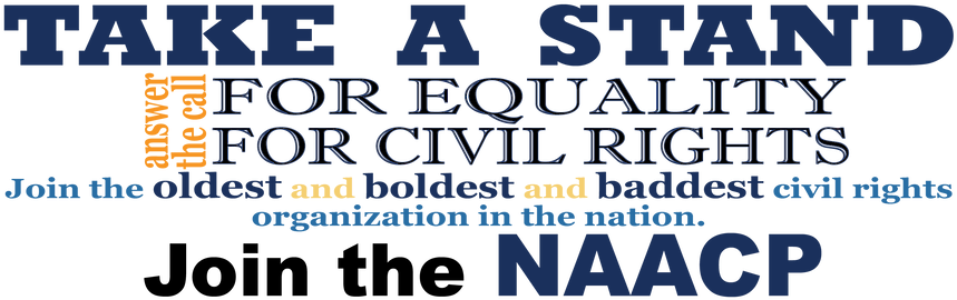 Bug-a-salt Camofly 2.0 Insect Eradication Gun (863x298), Png Download