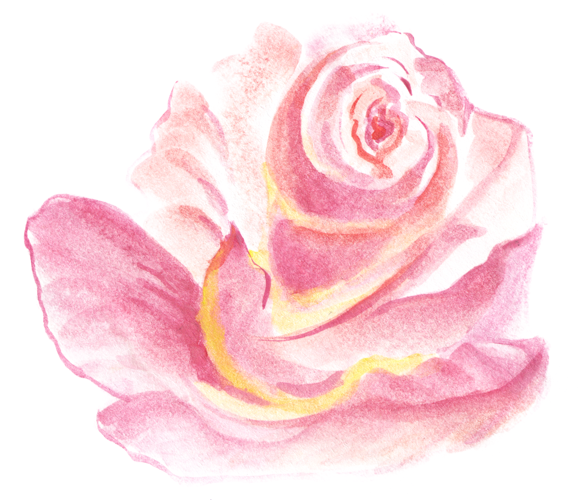 0℃素材43 - Hochzeit Uawg | Romantische Watercolor-rosen Karte (1924x1666), Png Download