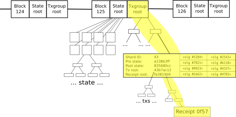 What Are Ethereum Nodes And Sharding - Ethereum Plasma (800x397), Png Download