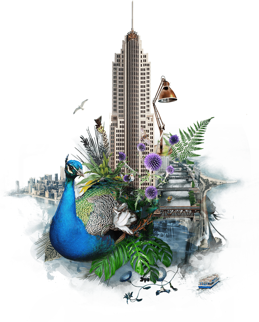 Discover Card (900x1350), Png Download