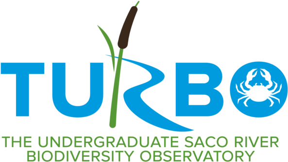 Long-term Ecological Research - Maine (600x340), Png Download