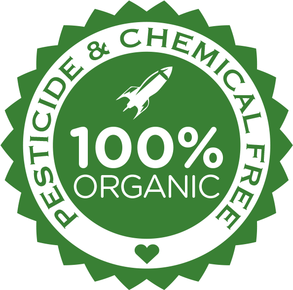 Grow Fresh, Organic Vegetables - Library Stamp (600x600), Png Download