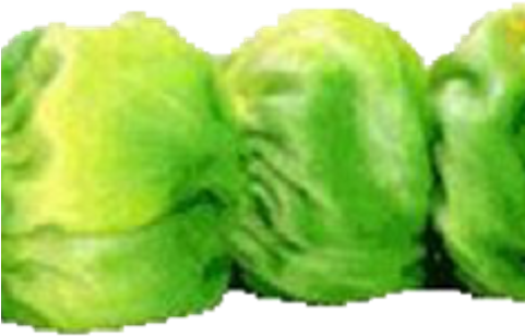 Worm Teddy (480x480), Png Download