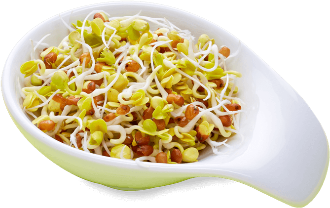 Radieschen - Sprout Salad Png (700x683), Png Download