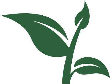 Cb Website Sprout Icon - Vector Graphics (529x396), Png Download