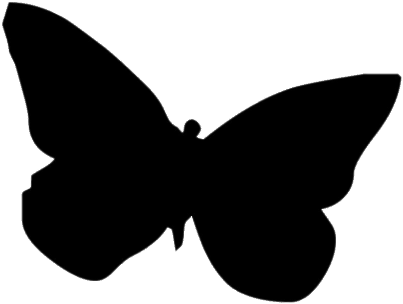 Descargar - Butterfly Silhouette Transparent Background (850x1100), Png Download