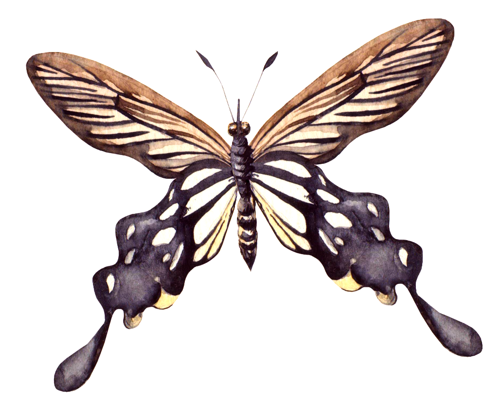 Pintado A Mano De Madera Hecho A Mano De Png Transparente - Portable Network Graphics (1024x824), Png Download