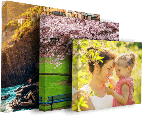 Canvas - Canvas Print (500x409), Png Download