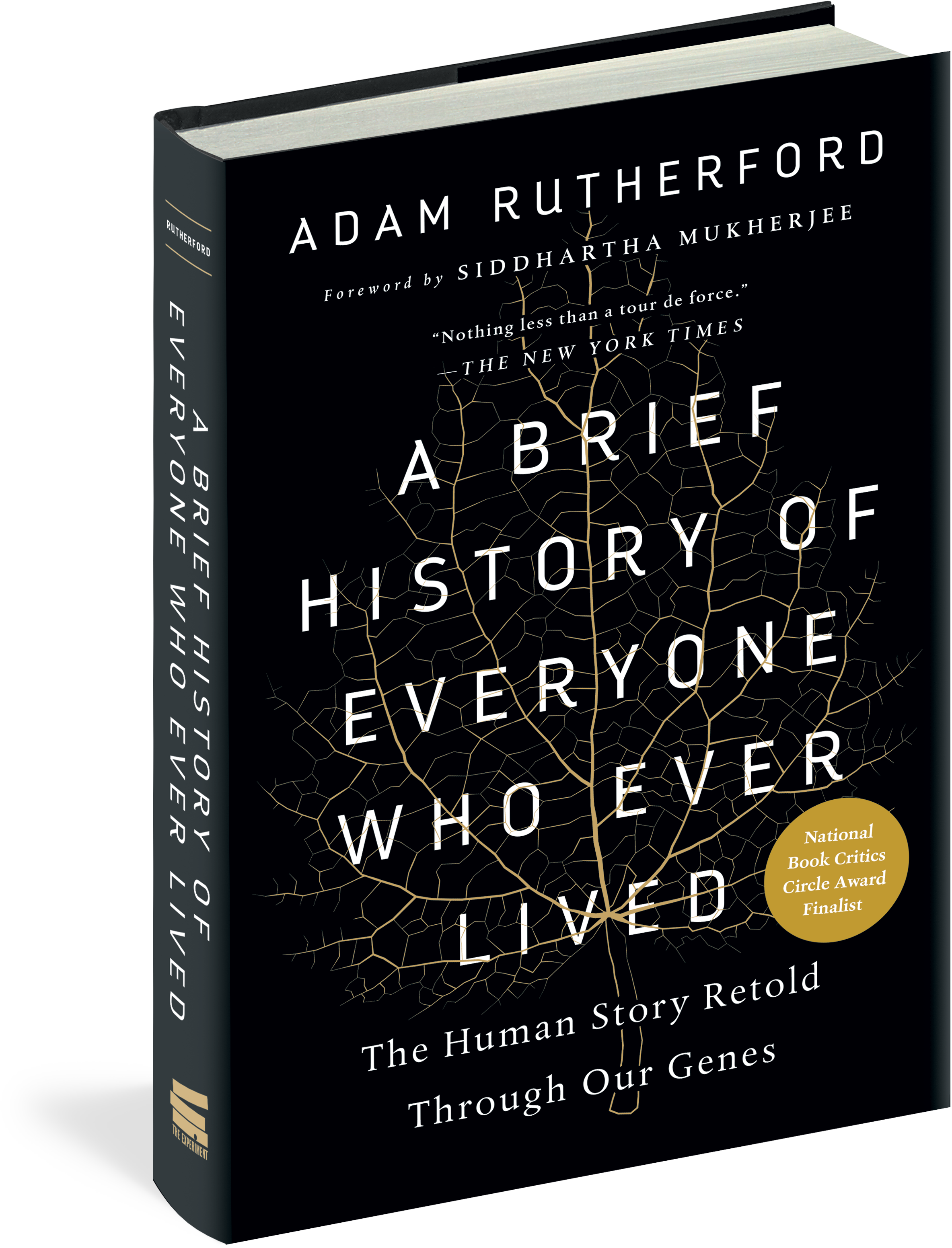 A Brief History Of Everyone Who Ever Lived - Brief History Of Everyone Who Ever Lived By Adam Rutherford (3150x3300), Png Download
