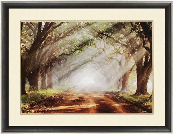 Evergreen Plantation - Evergreen Plantation Framed Print (550x550), Png Download