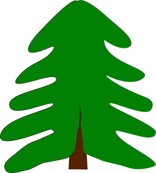 Evergreen Tree Clip Art - Pine Tree Cartoon (540x600), Png Download
