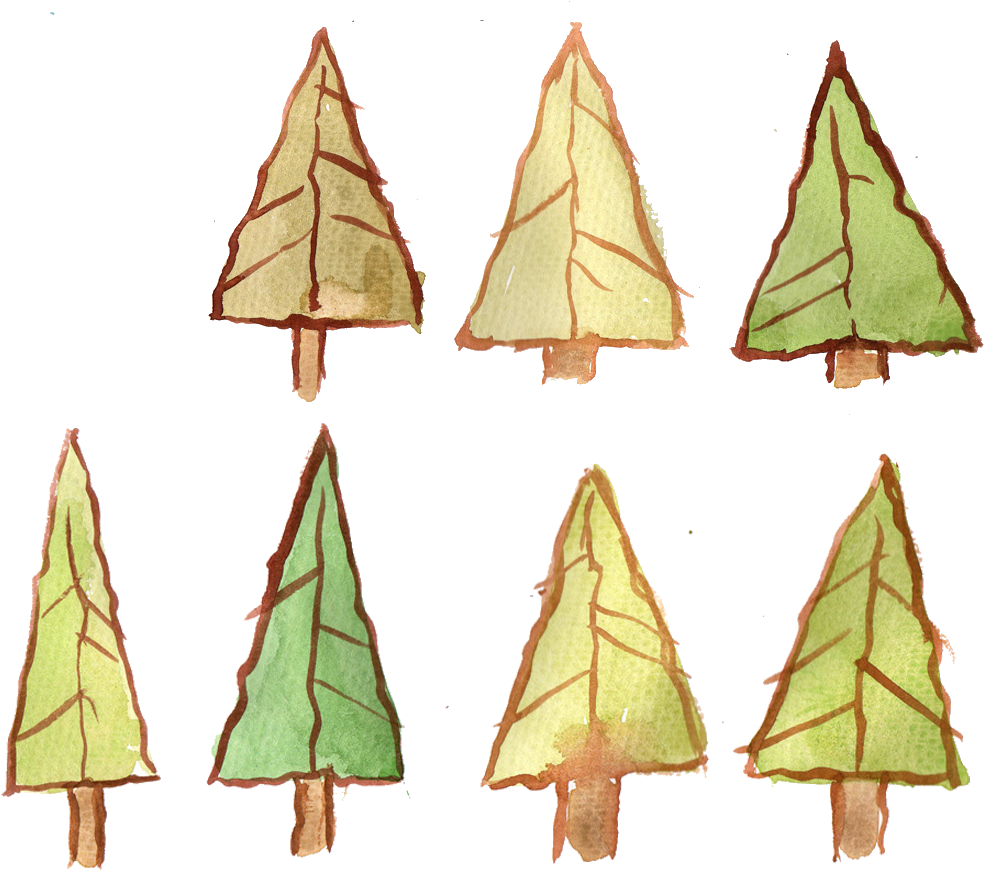 Started With Trees - Christmas Tree (1024x1024), Png Download