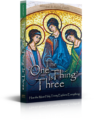 The "one Thing Is Three" Is Written For Everyone - One Thing Is Three By Fr Michael E Gaitley (400x495), Png Download