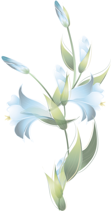 Tubes Fleurs - Marco De Flores Azucenas (421x800), Png Download