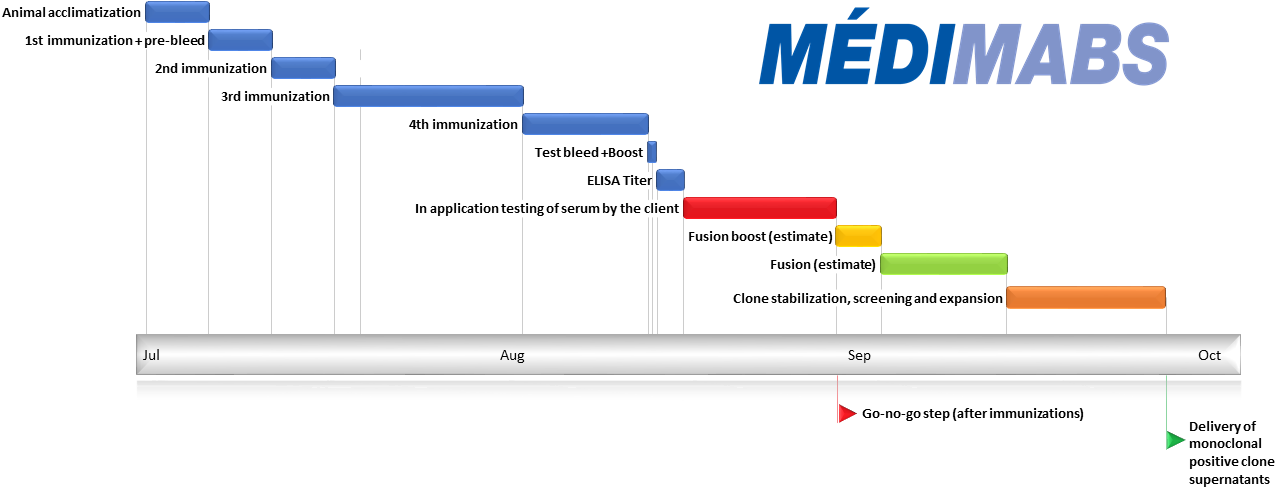 Strategy, Antigen Design And Synthesis - Design (1280x505), Png Download