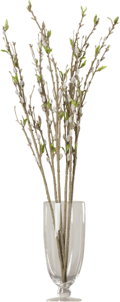 Transparent Png Pussy Willow (240x600), Png Download