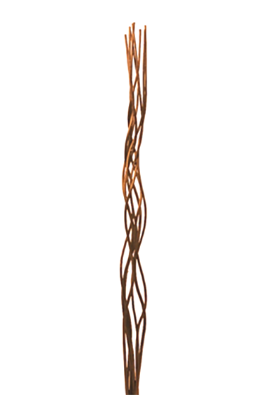 Corkscrew Willow - Mahogany - Willow (556x556), Png Download