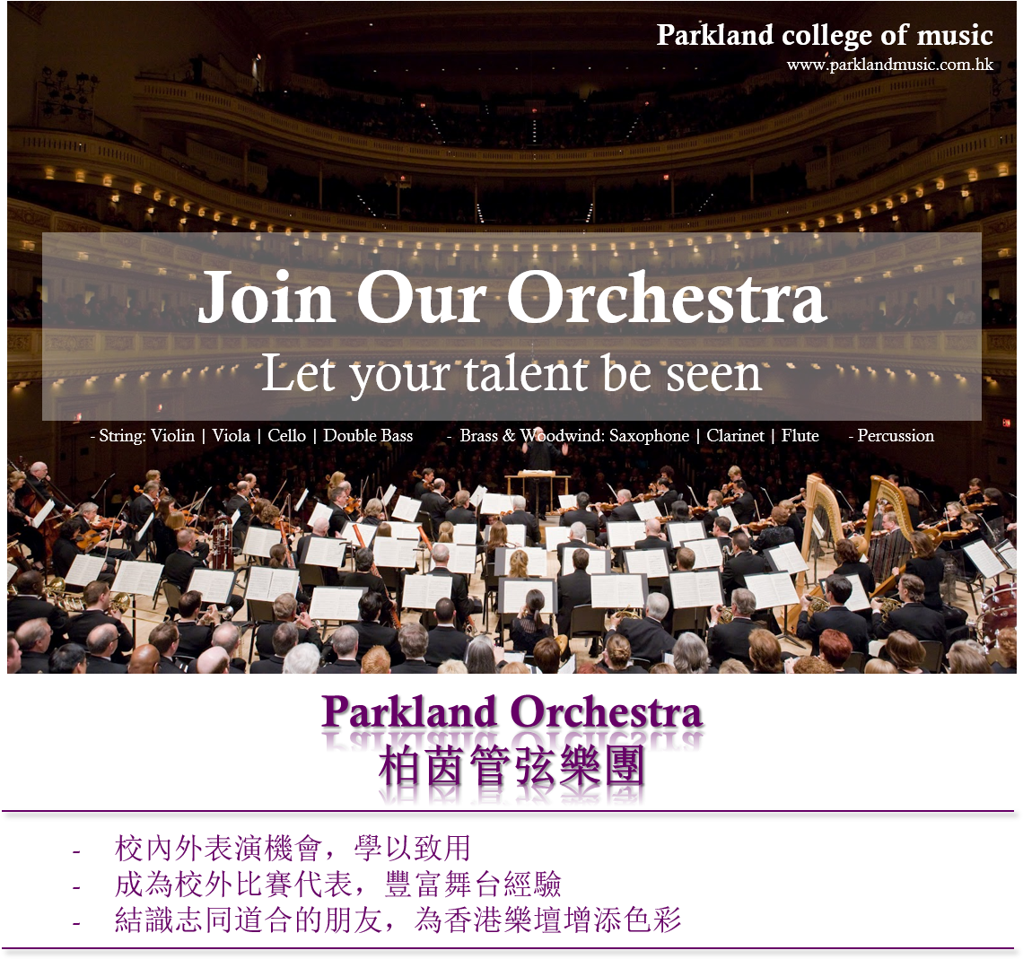 Parkland Orchestra1 - Orchestra Pit (1146x1070), Png Download