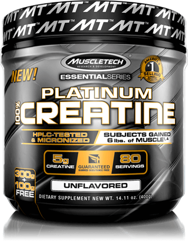 Platinum Creatine Container - Muscletech Essential Series Platinum 100% L-carnitine (380x487), Png Download