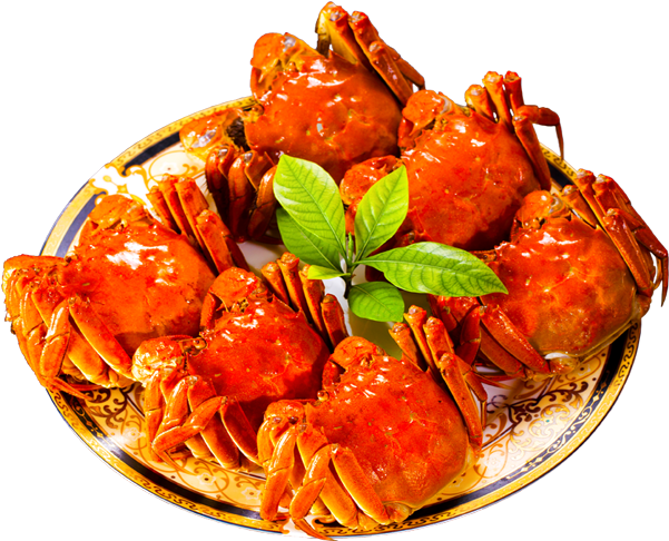 Seafood Vector Chilli Crab - Crab (600x600), Png Download
